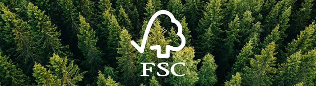 Chứng nhận FSC® - Hành trình bảo vệ rừng và môi trường xanh