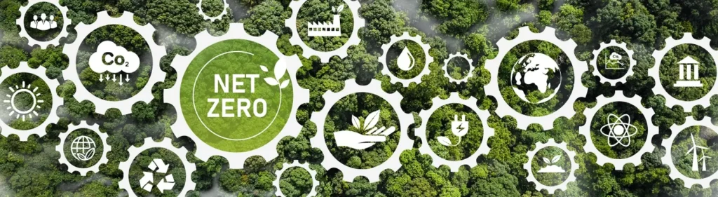 Vai trò của Net Zero
