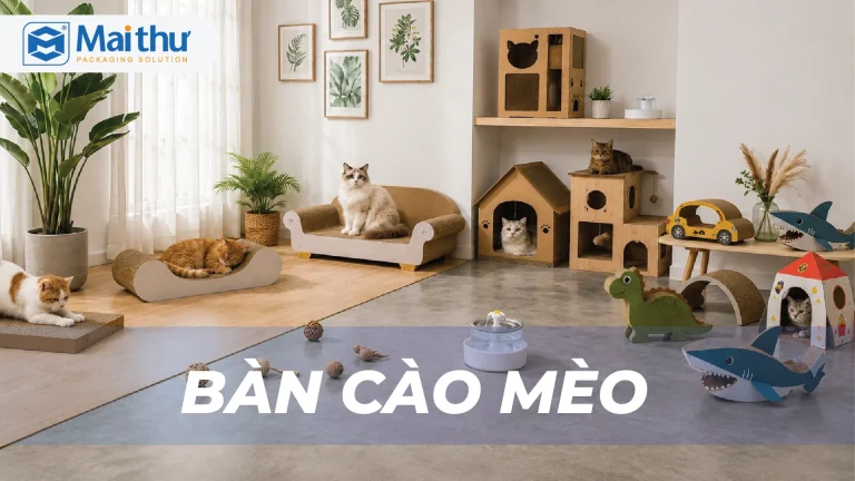 Bàn cào mèo