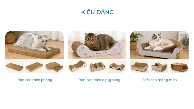 Kiểu dán bàn cào mèo