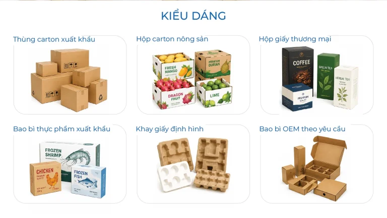 Kiểu dáng bao bì xuất khẩu