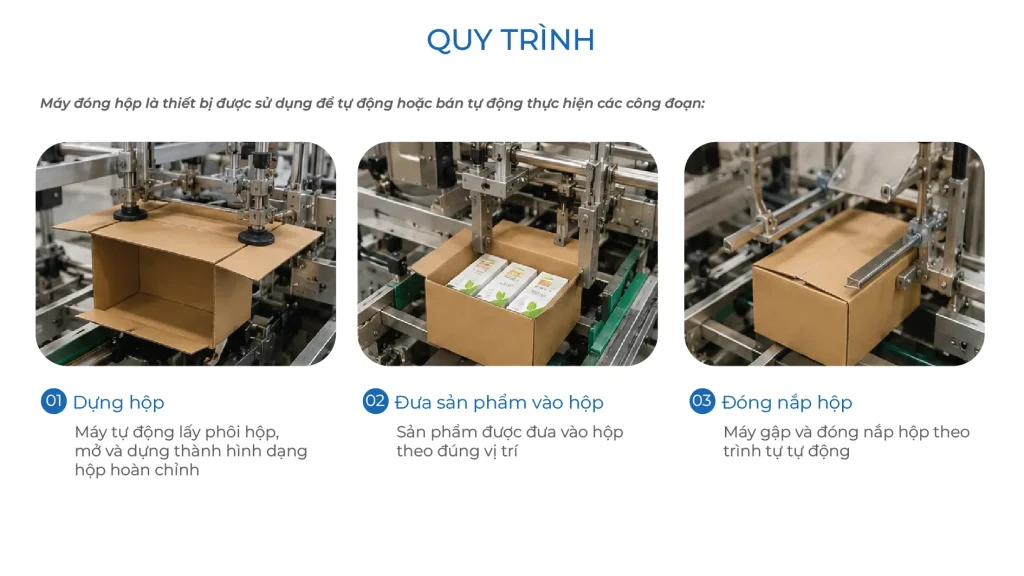 Quy trình máy đóng hộp