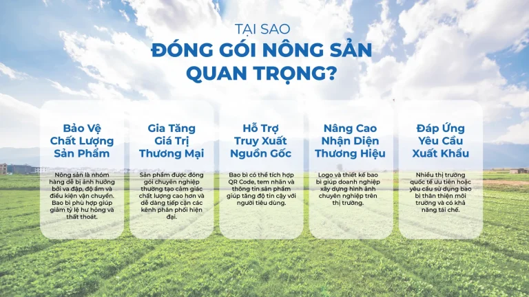 Tại Sao Đóng Gói Nông Sản Quan Trọng