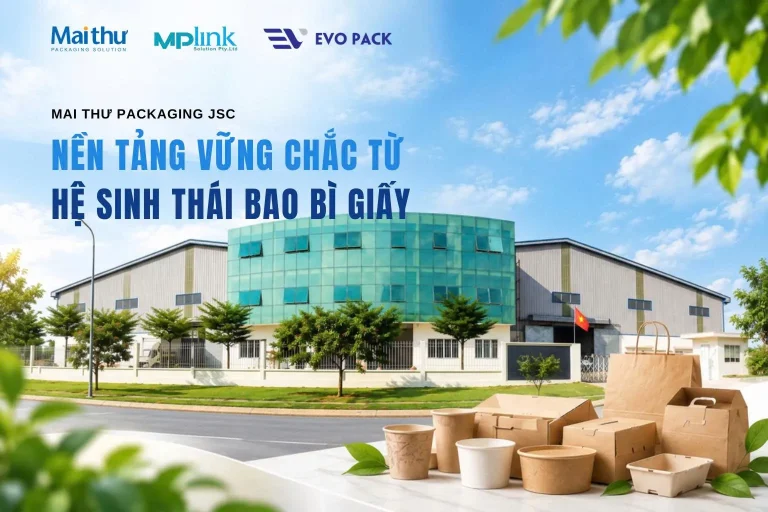Nền Tảng Vững Chắc Hệ Sinh Thái Bao Bì Giấy